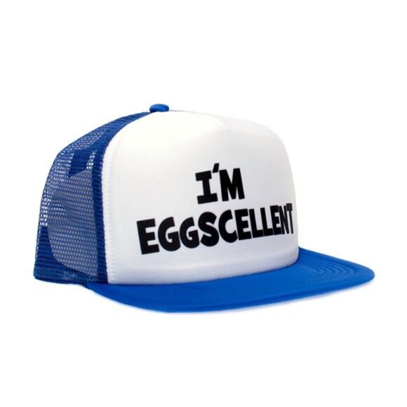 Regular Show- I'm Eggscellent Hat Royal Flat Cap Eggcelent Excellent Cartoon Fan - Picture 2 of 2